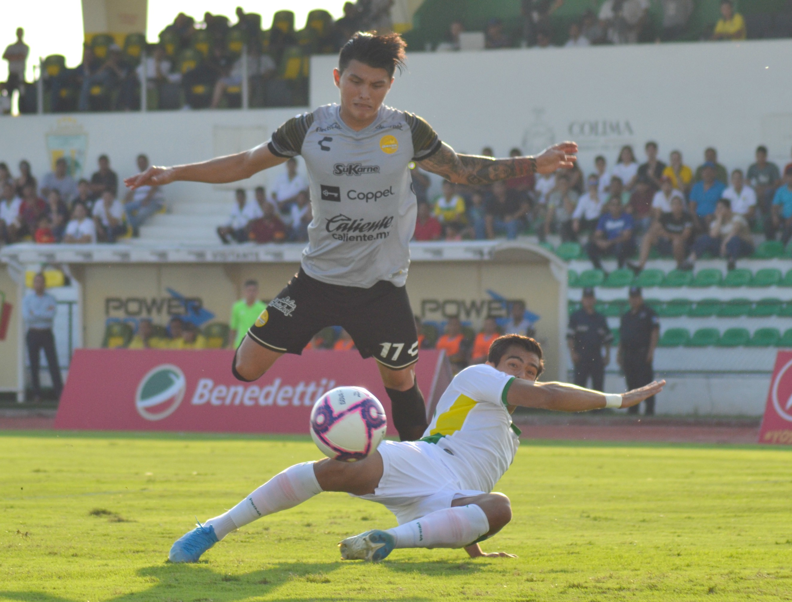 Loros VS Dorados 1