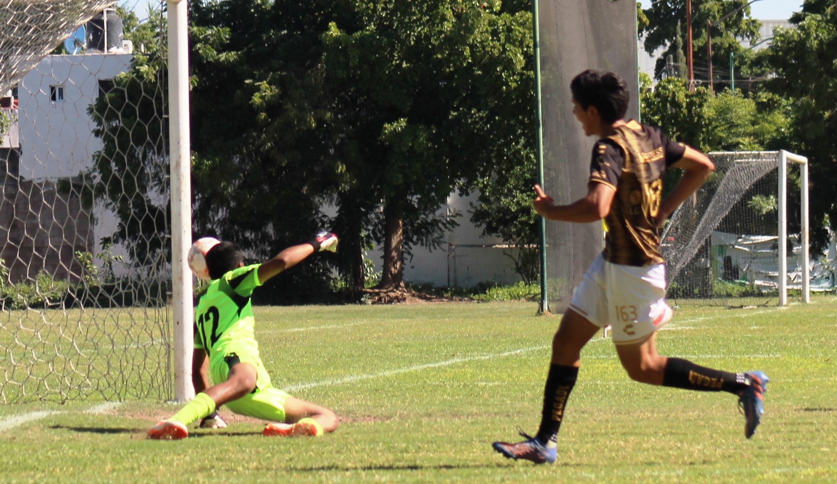 ABELINO GOL