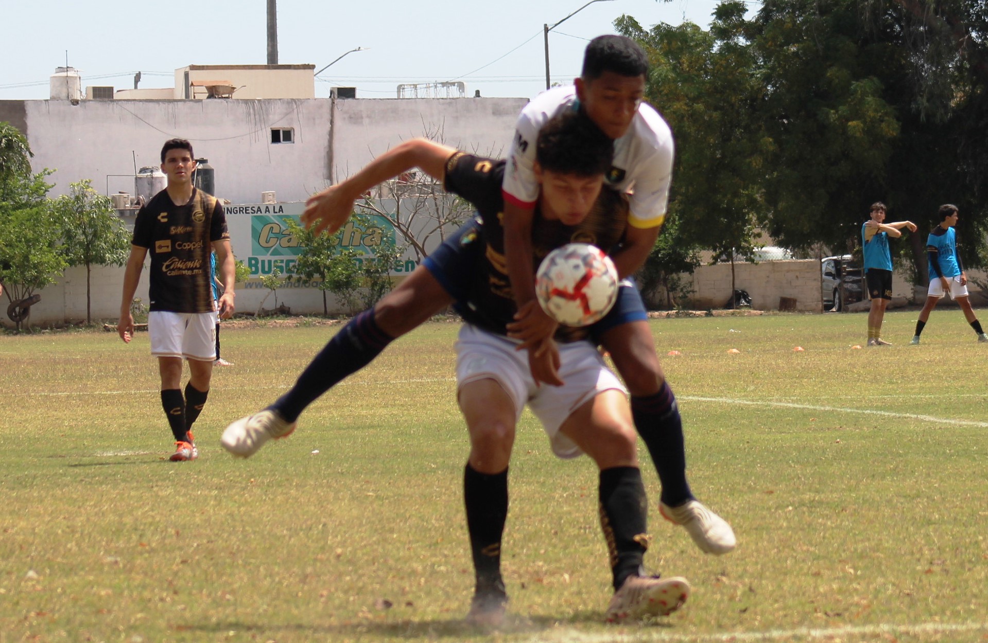 AUNQUE NO LO CREA MARCO FOUL DE DORADOS