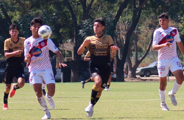 BUENA TODA