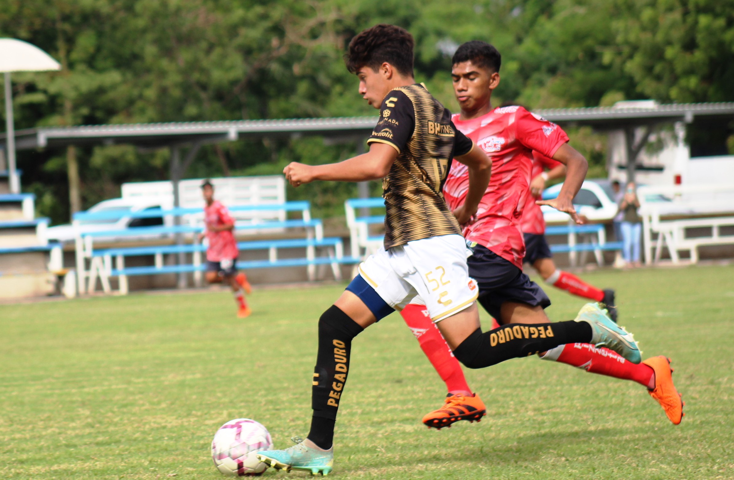 Baldemar hdz ante Nayarit