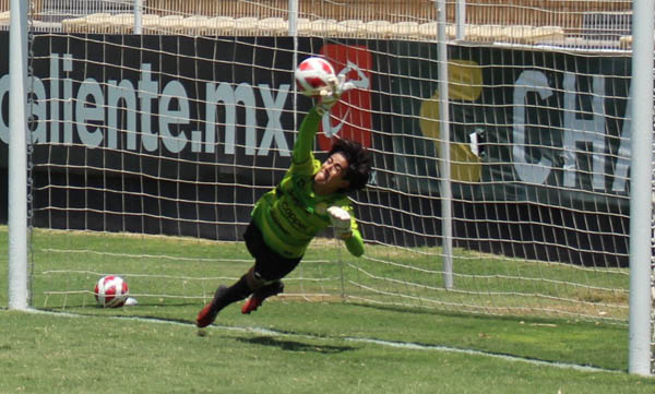 Carlos penal paradon