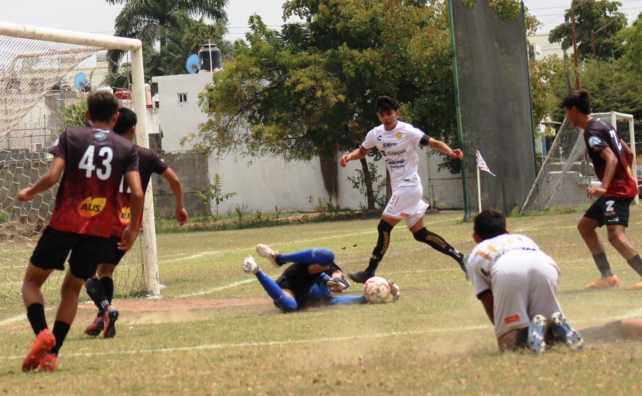 GOL ALDIERI ANTE ACAPONETA