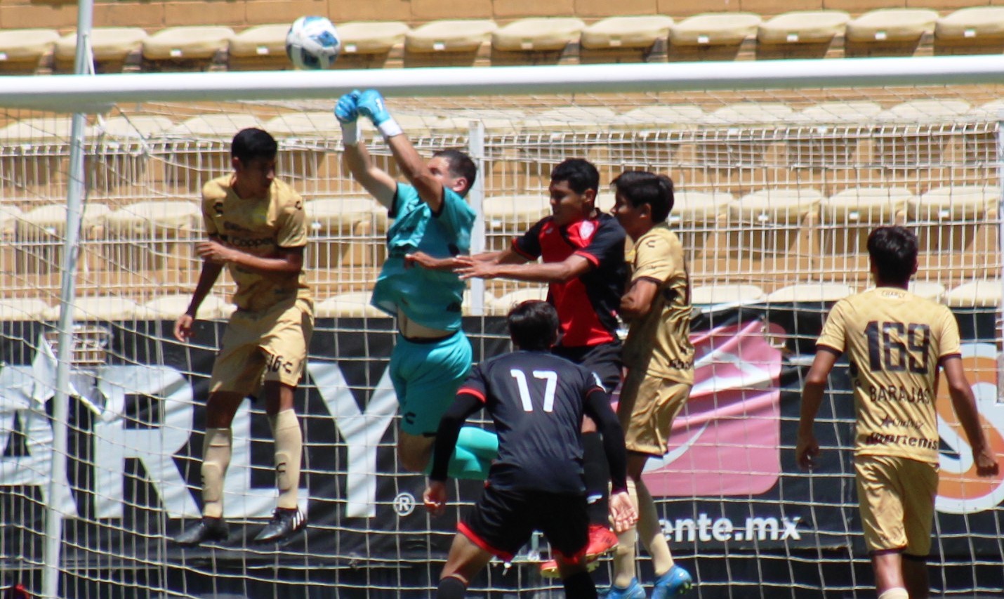 Tostado despejando de puños