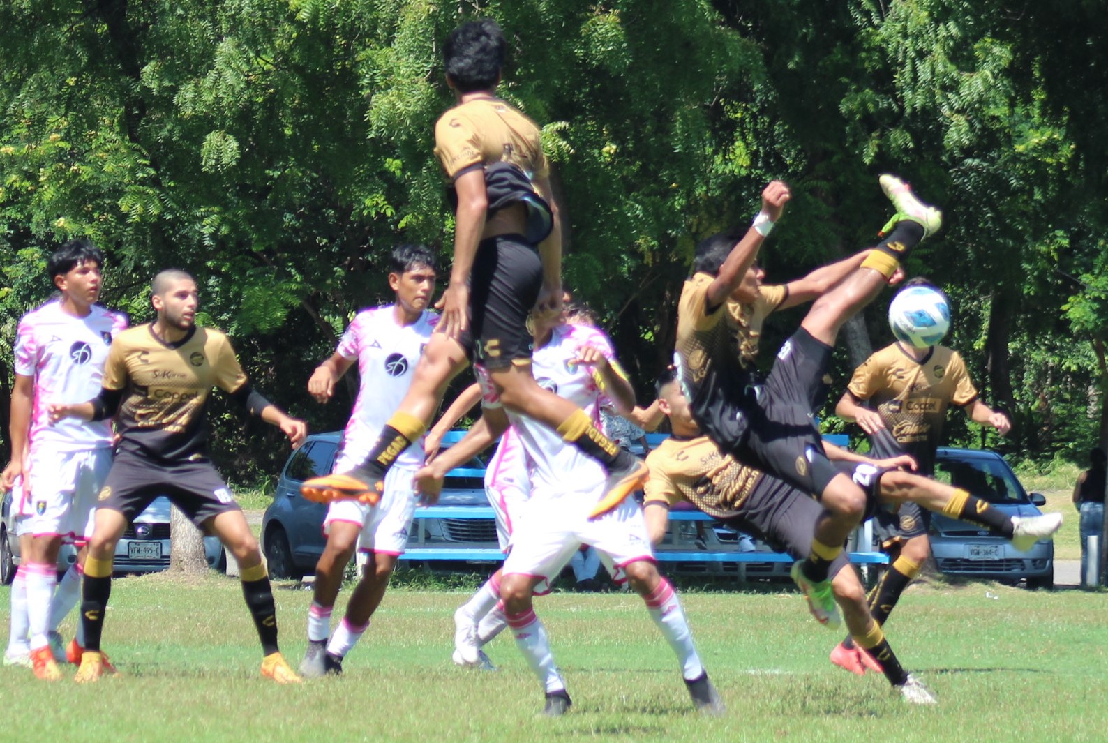acrobatas dorados