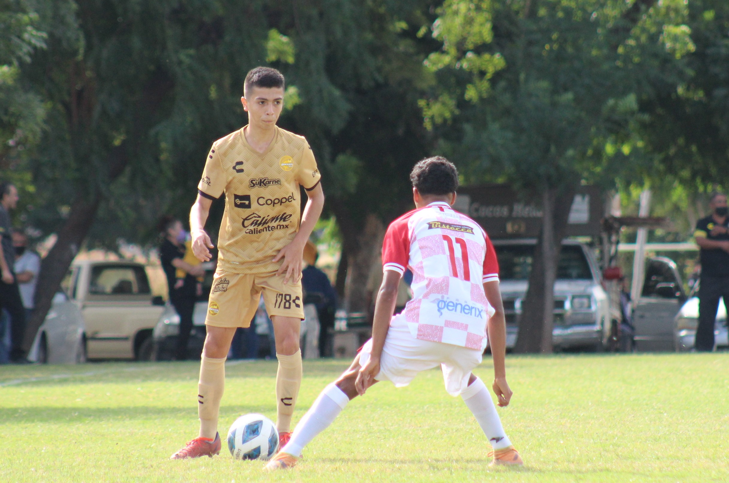 defensa 178