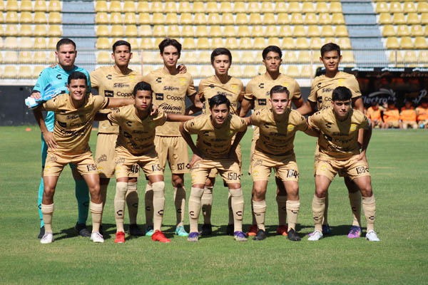 dorados listos