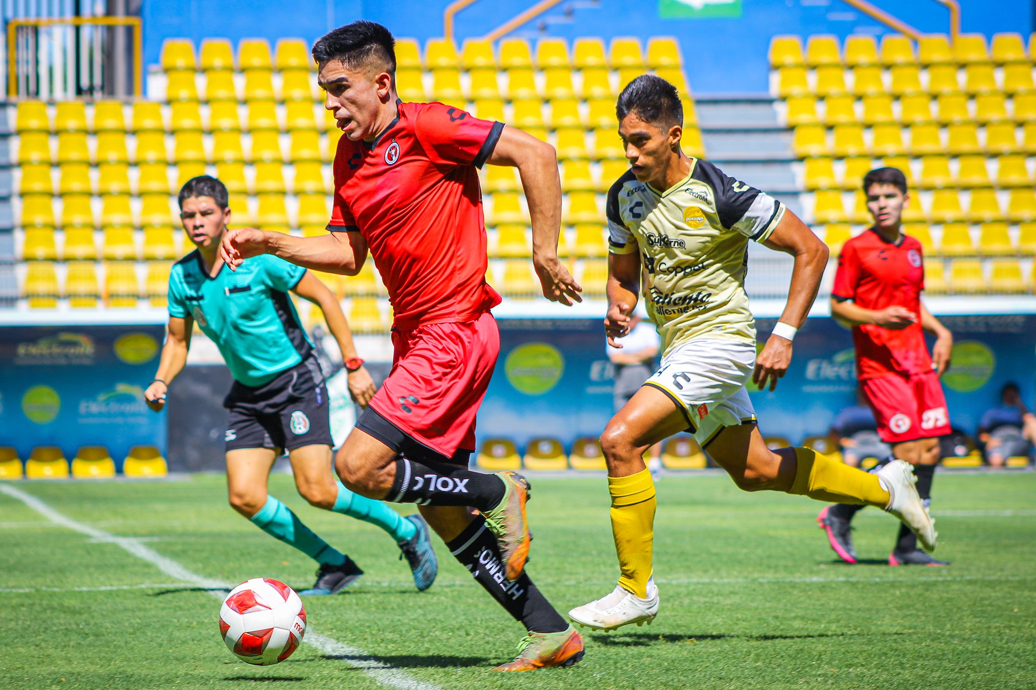 dords xolos 3