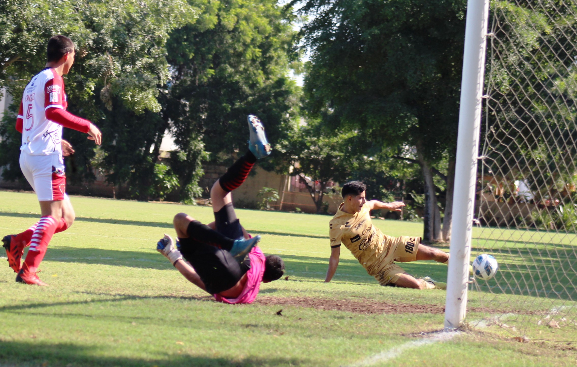 y no fue gol